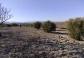 Terreny no urbanitzable en venda a la España, Calasparra, ref.: TR119490 foto