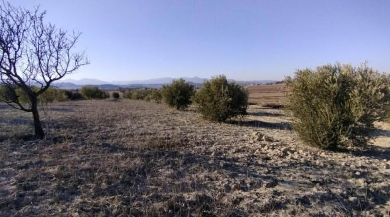 Múrcia - Calasparra - 7990m2