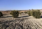Terreny no urbanitzable en venda a la España, Calasparra, ref.: TR119490 foto