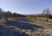 Terreny no urbanitzable en venda a la España, Calasparra, ref.: TR119490 foto