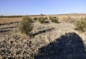 Terreny no urbanitzable en venda a la España, Calasparra, ref.: TR119490 foto