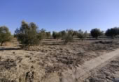 Terreny no urbanitzable en venda a la España, Calasparra, ref.: TR119490 foto