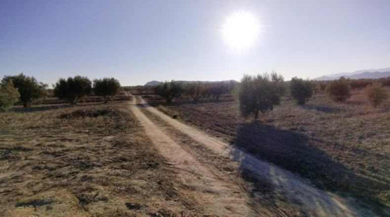 Múrcia - Calasparra - 7990m2