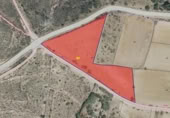 Terreny no urbanitzable en venda a la España, El Vellón, ref.: TR357796 foto
