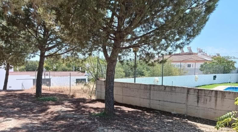 Jaén - Jaén - 100m2