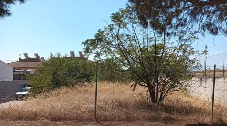 Jaén - Jaén - 100m2