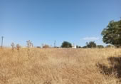 Sòl urbà en venda a la España, Jaén, ref.: TR168819 foto