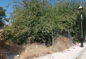 Sòl urbà en venda a la España, Jaén, ref.: TR168819 foto