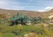 Land suitable for development for sale on España, Lucainena de las Torres, ref: TR284420 photo