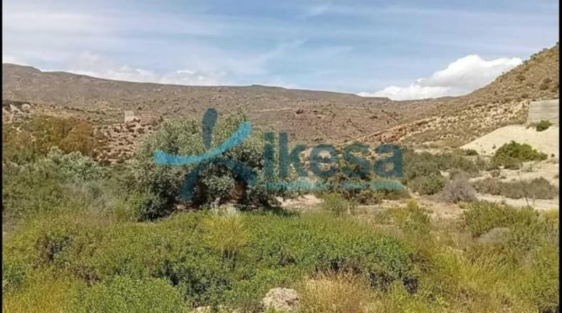 Almería - Lucainena de las Torres - 12201m2