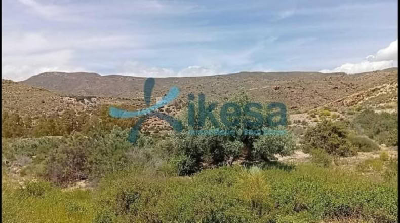 Almería - Lucainena de las Torres - 12201m2