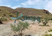 Land suitable for development for sale on España, Lucainena de las Torres, ref: TR284420 photo