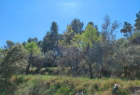 La Portellada 14097&nbsp;m²