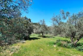 La Portellada 14097&nbsp;m²