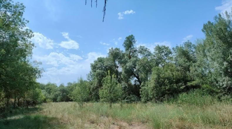 Álava - Fresneda - 10064m2