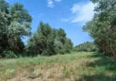 Xalet independent amb terreny en venda a la España, Calaceit, ref.: TR303283 foto