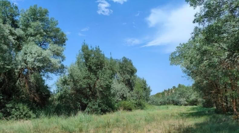 Álava - Fresneda - 10064m2