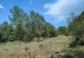 Xalet independent amb terreny en venda a la España, Calaceit, ref.: TR303283 foto