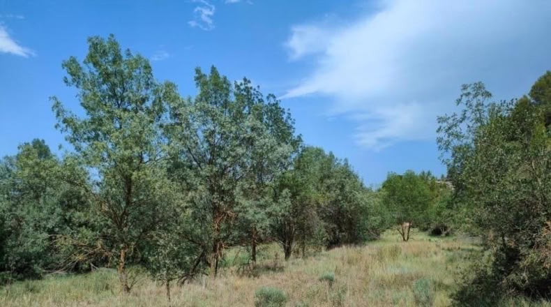 Álava - Fresneda - 10064m2