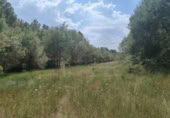 Xalet independent amb terreny en venda a la España, Calaceit, ref.: TR303283 foto