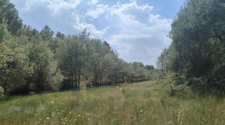 Álava - Fresneda - 10064m2