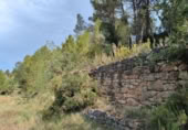 Xalet independent amb terreny en venda a la España, Calaceit, ref.: TR303283 foto