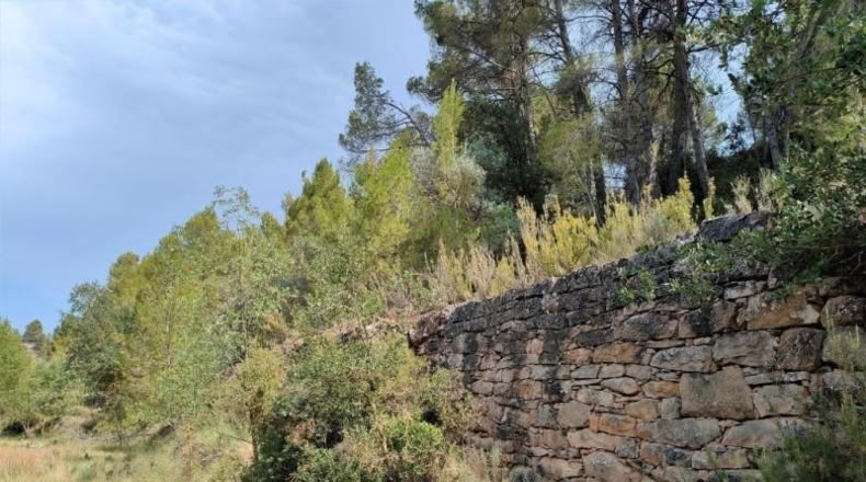 Álava - Fresneda - 10064m2