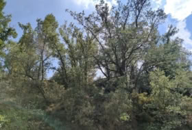 Foto 15