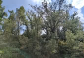 Xalet independent amb terreny en venda a la España, Calaceit, ref.: TR303283 foto