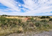 Non-developable land for sale on España, La Alamedilla del Berrocal, ref: TR166462 photo
