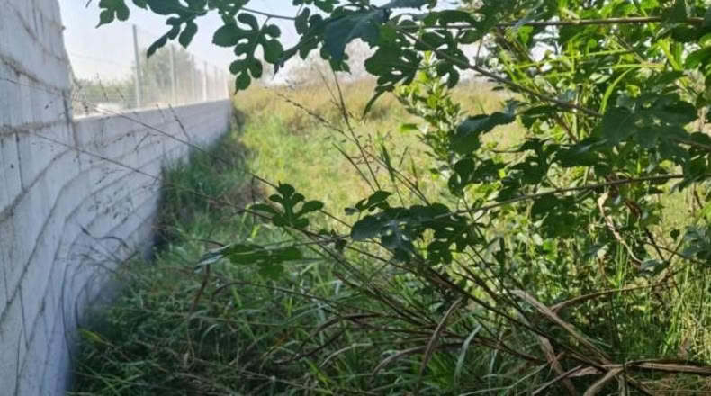 Múrcia - Molina de Segura - 500m2
