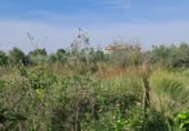 Terreny no urbanitzable en venda a la España, Molina de Segura, ref.: TR119176 foto