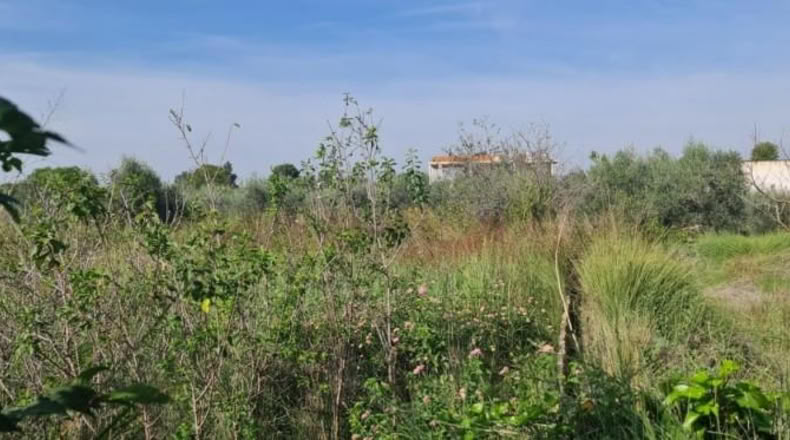 Múrcia - Molina de Segura - 500m2