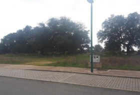 Foto 7