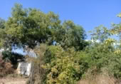 Terreno no urbanizable en venta en la España, Ayegui, ref: TR181614 foto