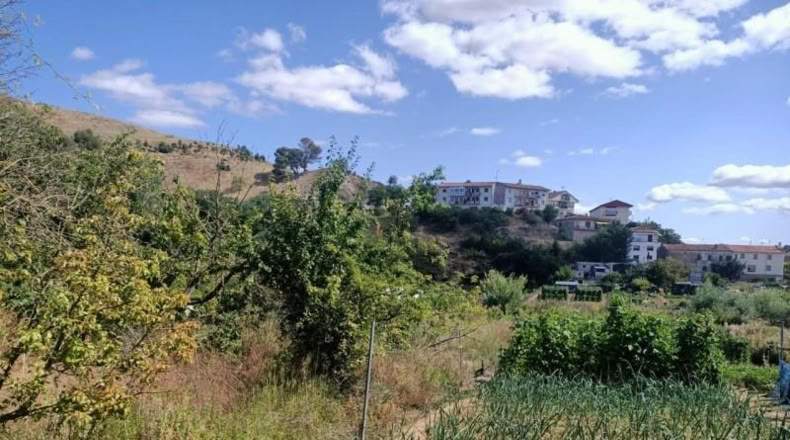 Navarra - Ayegui - 569m2