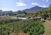 Terreno no urbanizable en venta en la España, Ayegui, ref: TR181614 foto