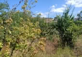 Terreno no urbanizable en venta en la España, Ayegui, ref: TR181614 foto