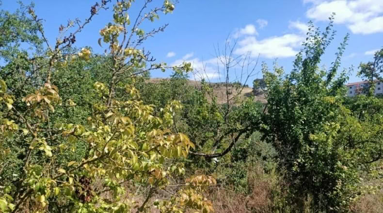 Navarra - Ayegui - 569m2