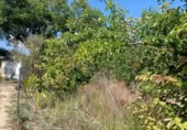 Terreno no urbanizable en venta en la España, Ayegui, ref: TR181614 foto