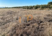 Terreno no urbanizable en venta en la España, Almería, ref: TR375923 foto