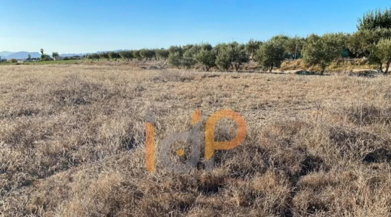 Almería - Almería - 4640m2