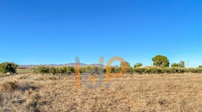 Almería - Almería - 4640m2