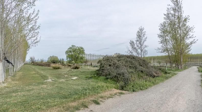Гранада - Fuente Vaqueros - 1585m2