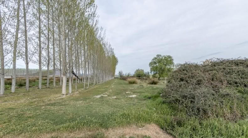 Гранада - Fuente Vaqueros - 1585m2