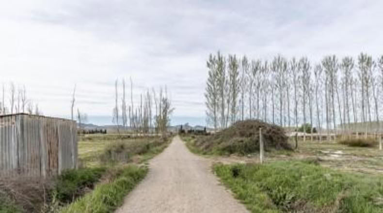 Гранада - Fuente Vaqueros - 1585m2