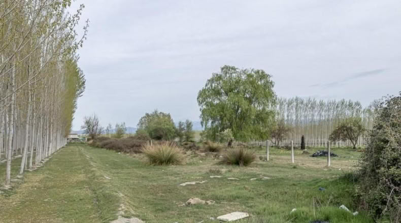 Гранада - Fuente Vaqueros - 1585m2