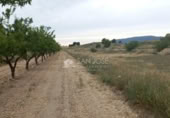 Terreno no urbanizable en venta en la España, Monóvar, ref: TR113592 foto