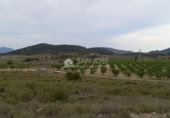 Terreno no urbanizable en venta en la España, Monóvar, ref: TR113592 foto