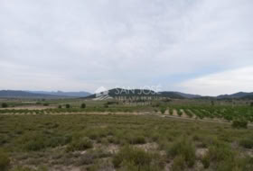 Monòver 7108&nbsp;m² 